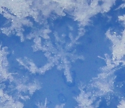 P1030064 雪の結晶.JPG